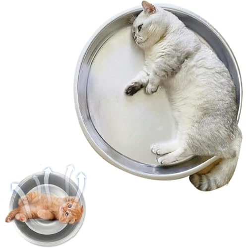 猫 鍋 かわいい」の人気商品一覧 | 安い商品を通販サイトから探す